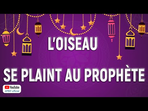 Al-Hoummarah se plaint au Prophète